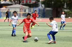 年全国游泳,锦标赛周五,盛大启幕,B体育官网,B体育平台,B体育链接,B体育官方