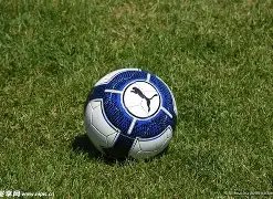 体育,产品,B体育,B体育官网,B体育平台,B体育链接,B体育官方