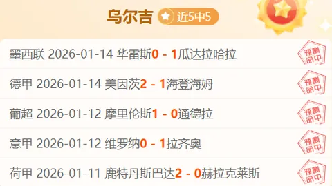 门兴放走索默加盟拜仁，小舒梅切尔转会拜仁未果