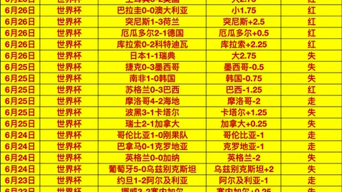 篮球女神集结女欧赛事不容错过的精彩